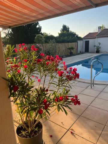 Lavardac Les Voyages De Louison B&B 외부 사진